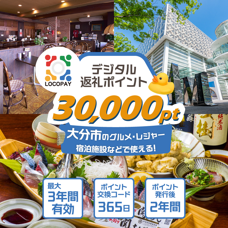 LOCOPAYデジタルポイント【30,000ポイント】