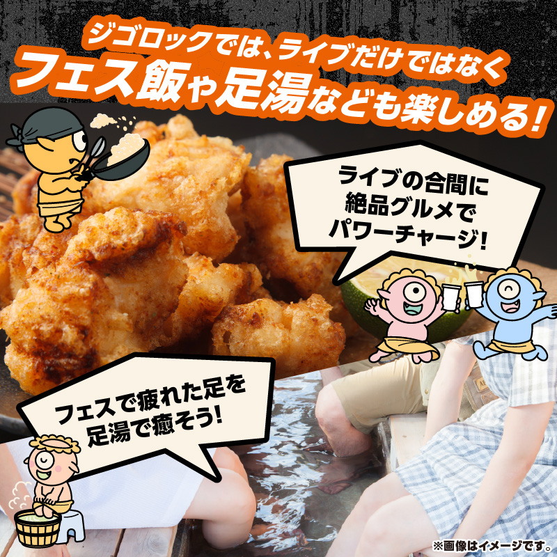 【4月25日（土）極楽チケット（VIP）1日券】大型野外音楽フェス「ジゴロック2026」チケット