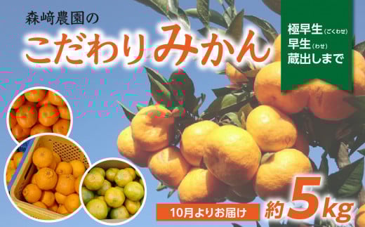 森崎農園のこだわりみかん 約5kg 極早生〜 早生〜蔵出しまで