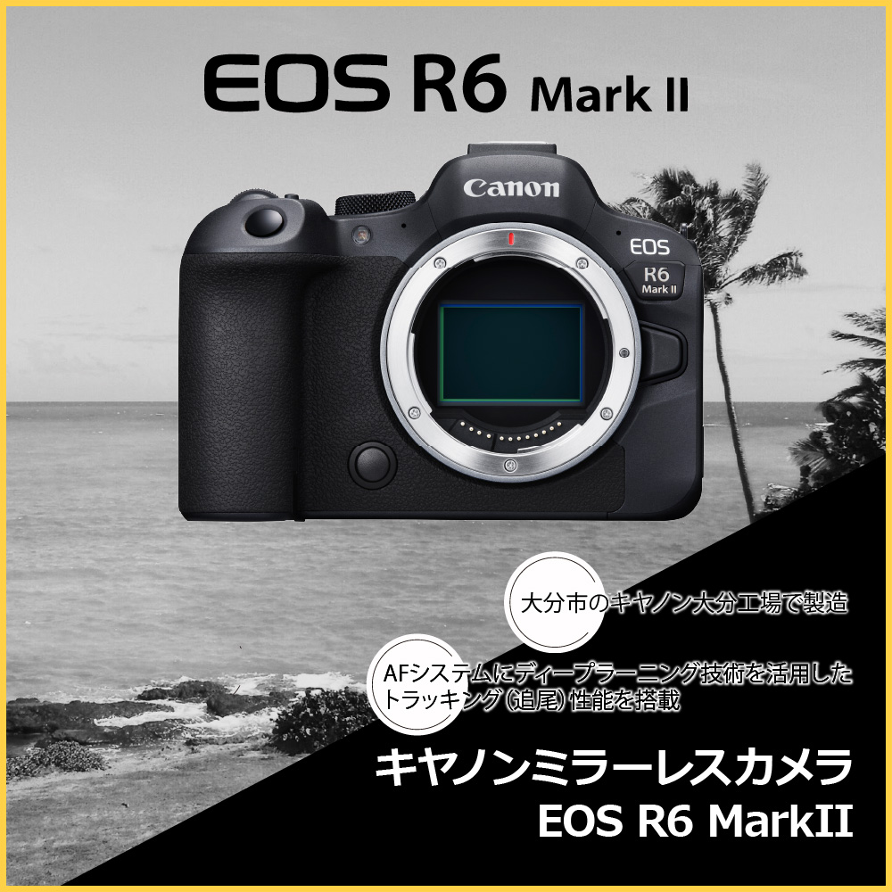 キヤノンミラーレスカメラ EOS R6 Mark Ⅱ