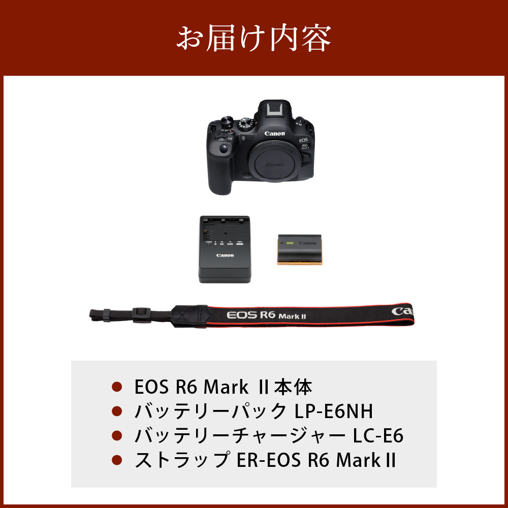 キヤノンミラーレスカメラ EOS R6 Mark Ⅱ