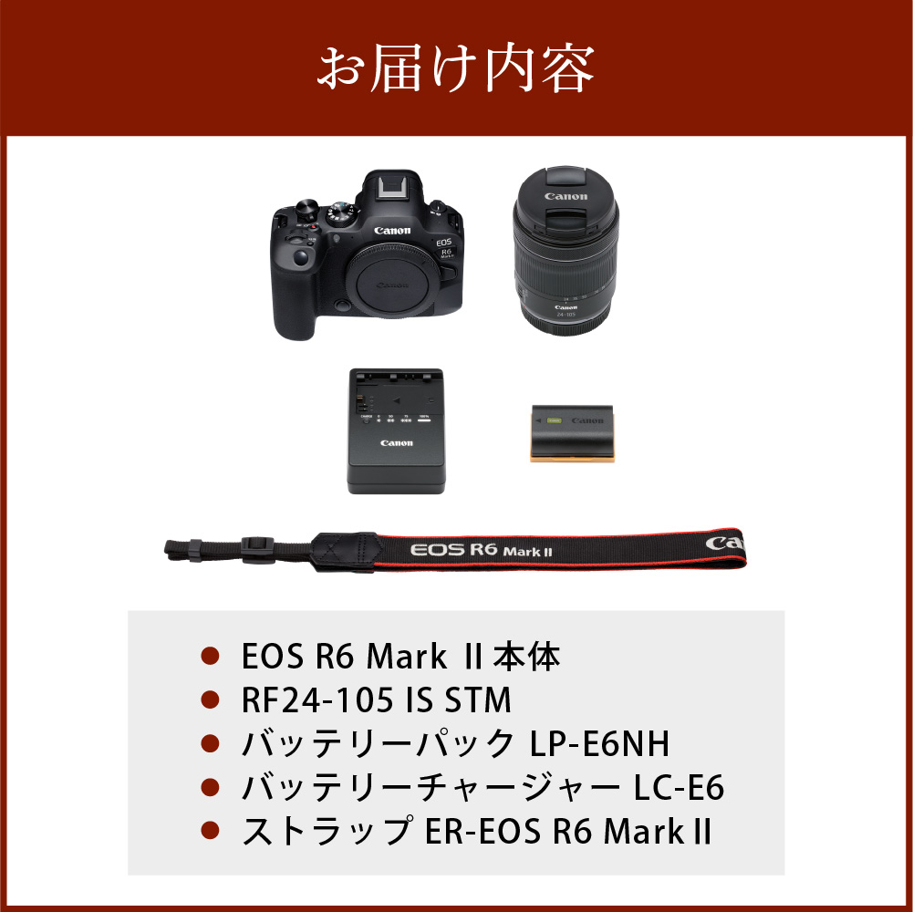 キヤノンミラーレスカメラ EOS R6 Mark Ⅱ・RF24-105 IS STM レンズキット