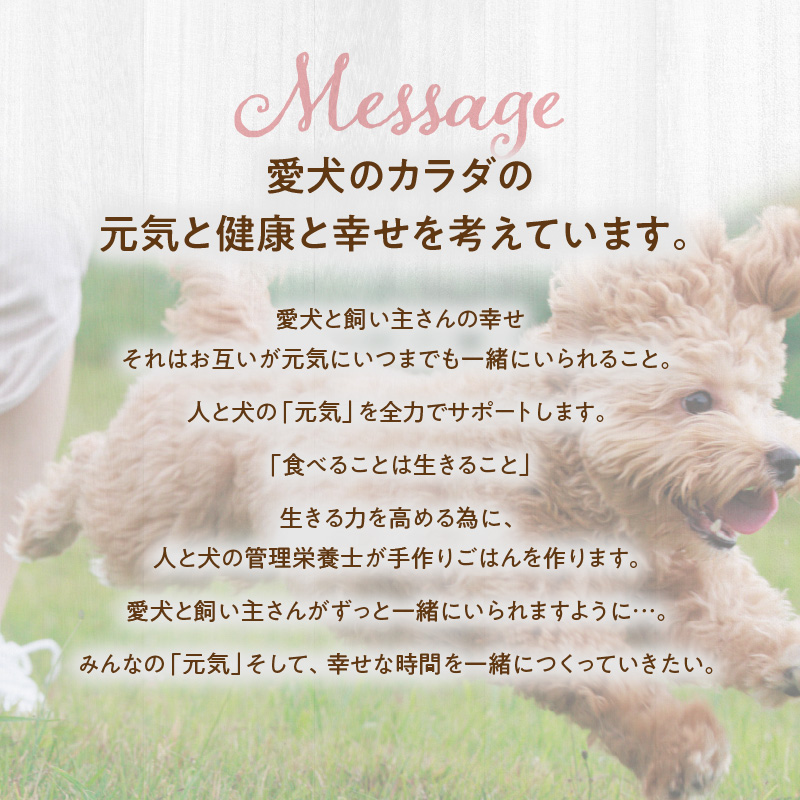 ドッグフード　無添加　お肉ごはん5点セット　【犬の手作りごはん】