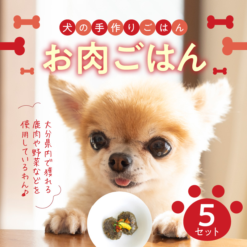 ドッグフード　無添加　お肉ごはん5点セット　【犬の手作りごはん】