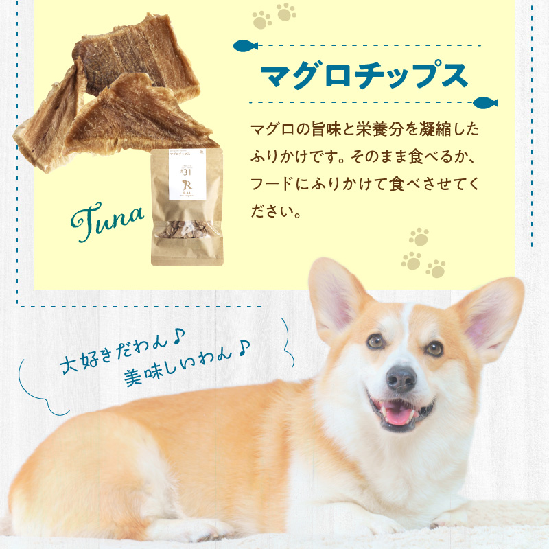 ドッグフード 無添加 お魚5点セット【犬の手作りごはん】