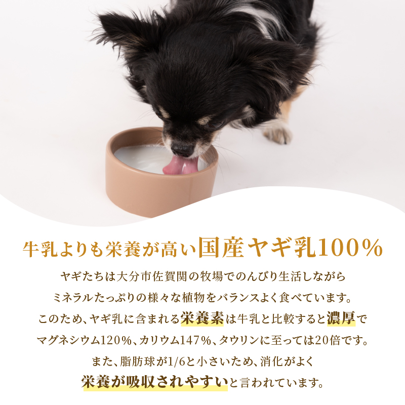 ヤギミルクのパウダー 50g×1パック