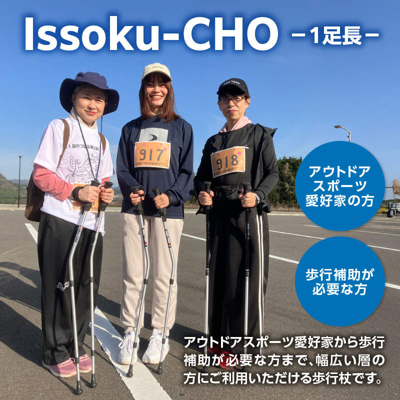 ウォーキングポール Issoku-CHO（1足長） シャンパンゴールド 1本