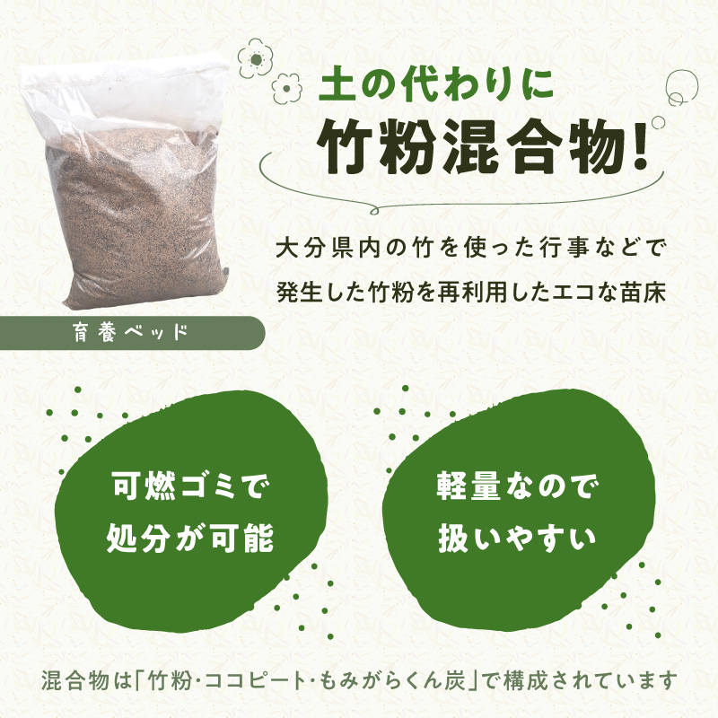 繝舌Φ繝悶シ繧ャ繝シ繝繝ウ繧ュ繝繝