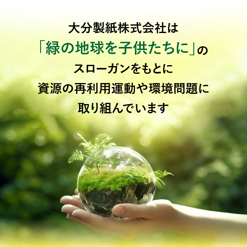 縺オ繧薙o繧翫d縺輔@縺 蜷ク豌エ蜉幢シ灘阪す繝」繝ッ繝シ繝医う繝ャ逕ィシ12繝ュ繝シ繝ォテ6繝代ャ繧ッ 險 72繝ュ繝シ繝ォシ峨ム繝悶Ν 1繝ュ繝シ繝ォ25ス
