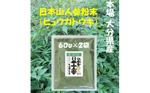 譌・譛ャ螻ア莠コ蜿ゑシ医ヲ繝・繧ヲ繧ャ繝医え繧ュシ臥イ画忰 譛ャ蝣エ螟ァ蛻逵檎肇