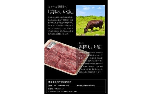 豊後黒毛和牛焼肉詰合せ約700g
