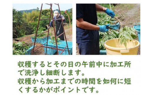 譌・譛ャ螻ア莠コ蜿ゑシ医ヲ繝・繧ヲ繧ャ繝医え繧ュシ臥イ画忰 譛ャ蝣エ螟ァ蛻逵檎肇