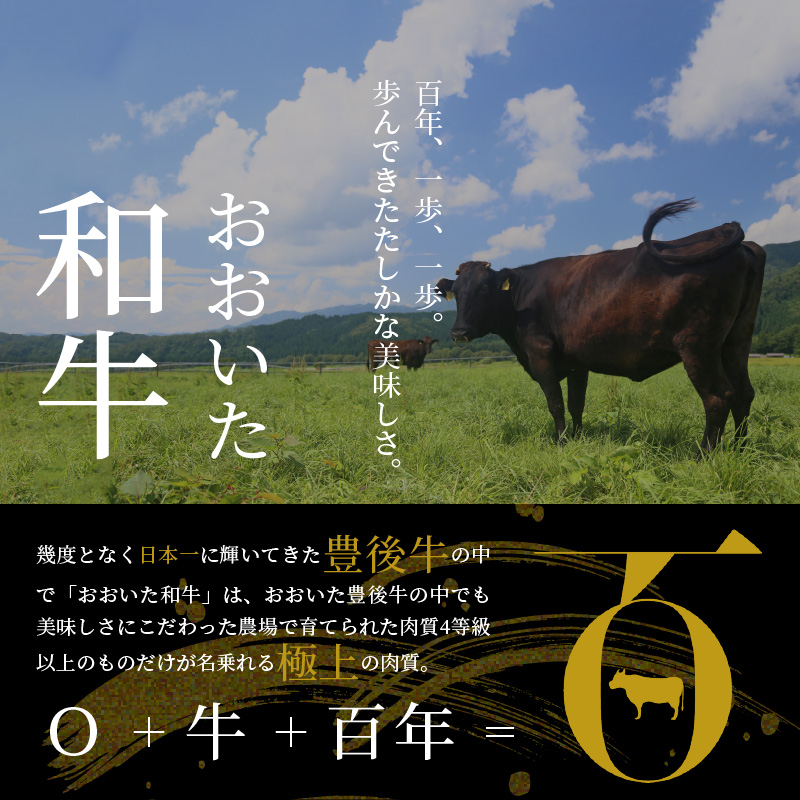 百年の恵み『おおいた和牛』づくし定期便（2回）