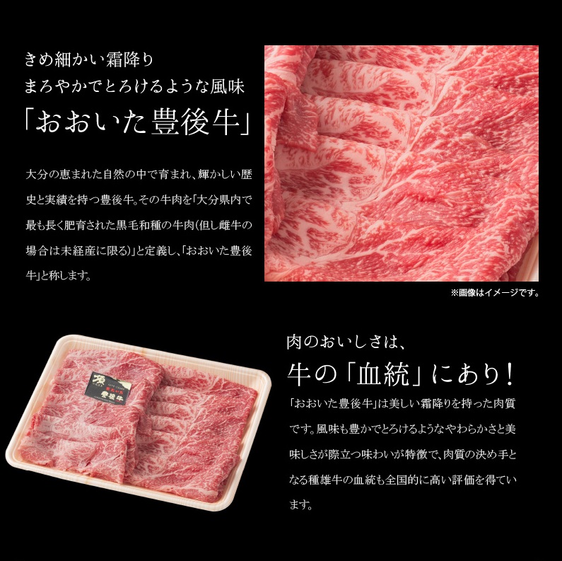 百年の恵み『おおいた和牛』づくし定期便（2回）