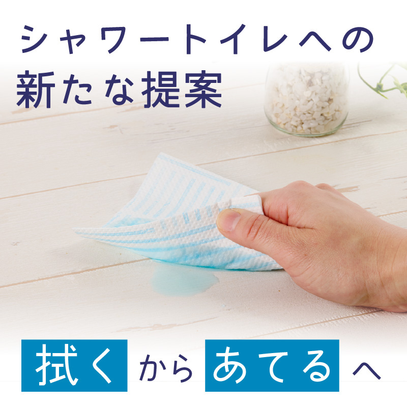 トイレットペーパーHOZO（8ロール×8パック）6回お届け定期便
