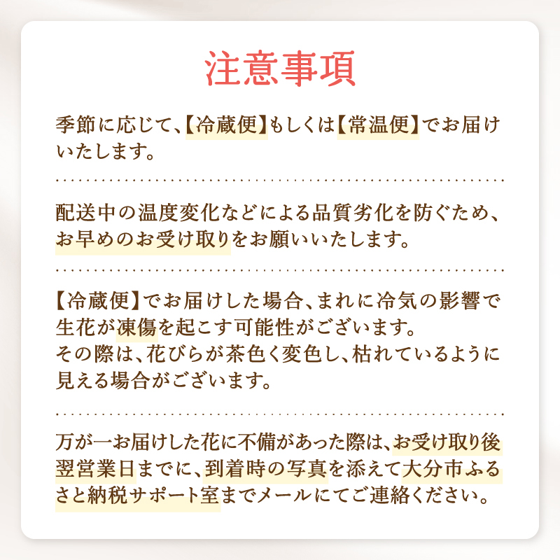 【毎月お届け定期便】季節の花束 旬のお花をお届けします ≪12回お届け≫