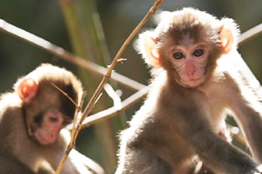 新たな価値を創造し、未来に挑戦できるまち