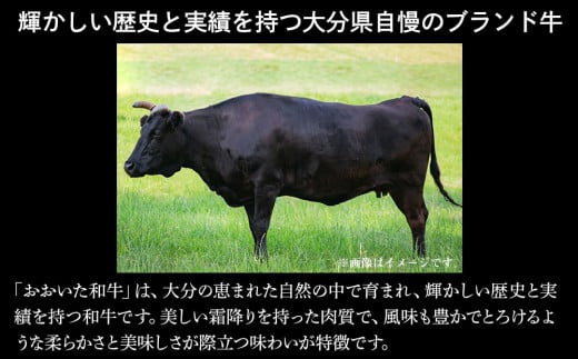 豊後牛おおいた和牛 すき焼き用 スライス肉 800g | 和牛 牛肉 すき焼き 大分県ブランド肉 大分県産 九州産 中津市 豊国畜産ぶんごや 国産 送料無料