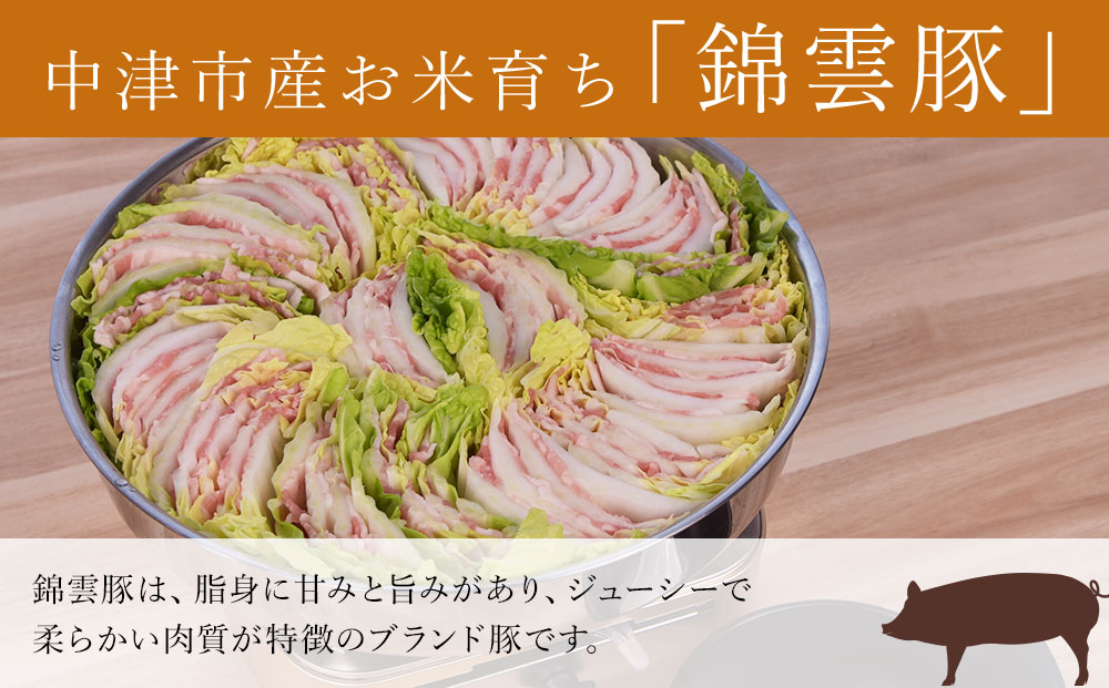 高級 ブランド 錦雲豚 たっぷり 3kg 詰め合わせ 6種 セット | お肉 肉 豚 豚肉 お米育ちの 錦雲豚 しゃぶしゃぶ 生姜焼き 丼 バラ ロース モモ ミンチ うで 豚肉 冷凍 送料無料 大分県 中津市