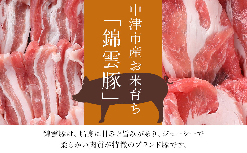 錦雲豚餃子とソーセージのセット レシピ付 餃子60個 ウインナー120g | お肉 肉 豚 豚肉 ブランド豚 錦雲豚 餃子 ギョウザ ソーセージ ウインナー セット 九州産 大分県産 国産 冷凍 送料無料 大分県 中津市