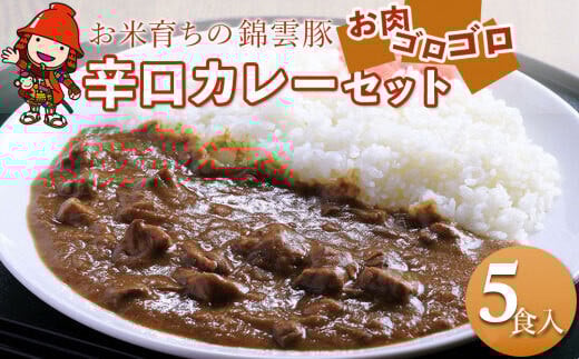 錦雲豚カレー辛口 たっぷり 5食 セット | レトルトカレー レトルト 惣菜 おかず 国産 九州産 大分県産 中津市 ブランド豚 豚肉 送料無料