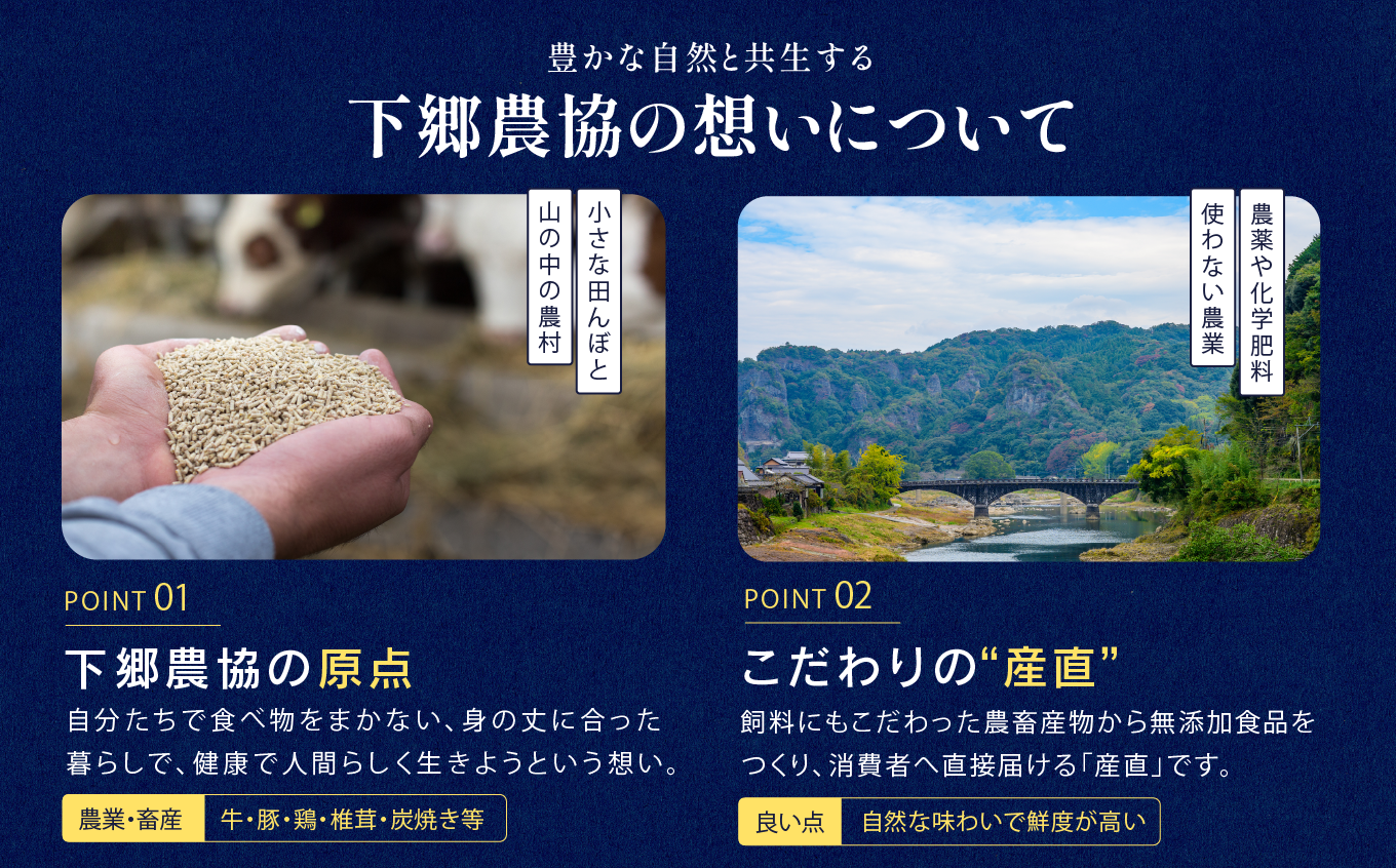 下郷農協の乳製品詰合せセット ( 飲むヨーグルト、プリン、カフェオレ ) | のむヨーグルト 飲むヨーグルト ヨーグルト プリン ぷりん カフェオレ 牛乳 生乳 乳製品 乳飲料 乳酸菌 デザート スイーツ セット 詰め合わせ 大分県 中津市