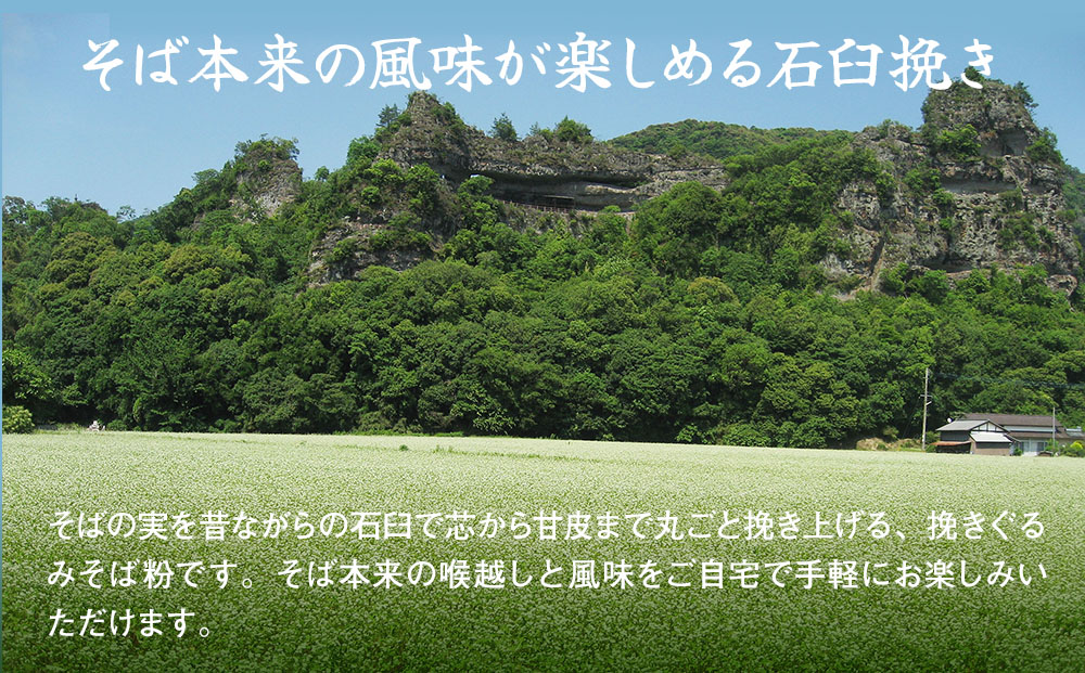 洞門そば 食べ比べBセット1袋2人前(合計6人前) そばつゆ付 | 二八そば 茶そば そば 蕎麦 乾麺 干しそば そばつゆ つゆ付き 食べ比べ セット 年越しそば 国産そば粉使用 国産 大分県産 九州産 大分県 中津市