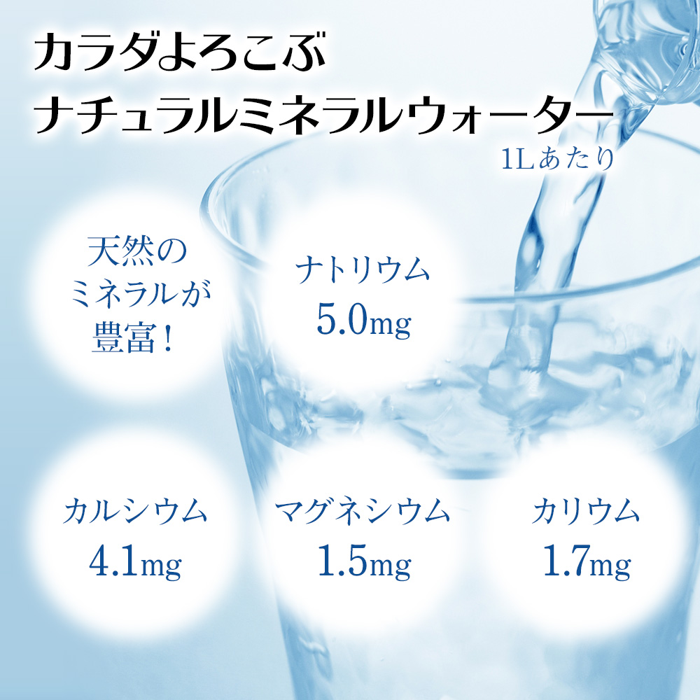 耶馬溪源流水 青の洞門 500ml×48本 2ケース | 湧き水 天然水 ナチュラルミネラルウォーター 