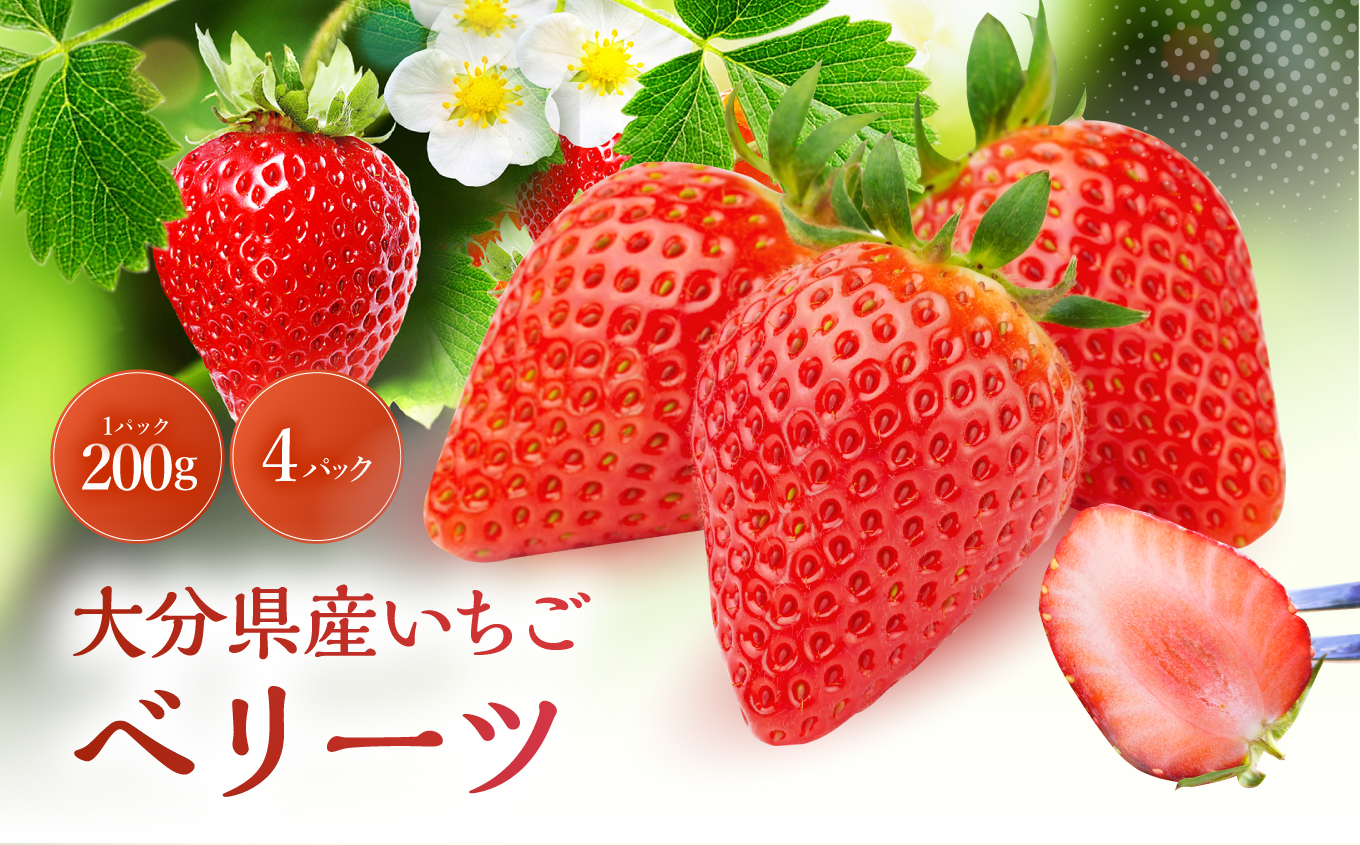 大分県ブランド いちご ベリーツ 約 800g ( 200g×4パック ) | 苺 イチゴ いちご ベリー フルーツ 果物 くだもの 大分県産 産地直送 九州産 国産 大分県 中津市