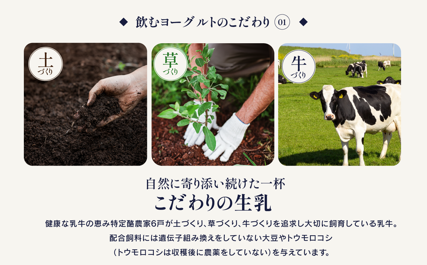 ãå®æäŸ¿3åãäžé·èŸ²åã®é£²ããšãŒã°ã«ãS-1 | 飲ããšãŒã°ã«ã ãšãŒã°ã«ã ä¹³é
žè çä¹³ çä¹³ 乳補å 乳飲æ 飲æ è
žæŽ» çºé
µé£å å¥åº·é£å 宿 å®æäŸ¿ 倧åç äžæŽ¥åž