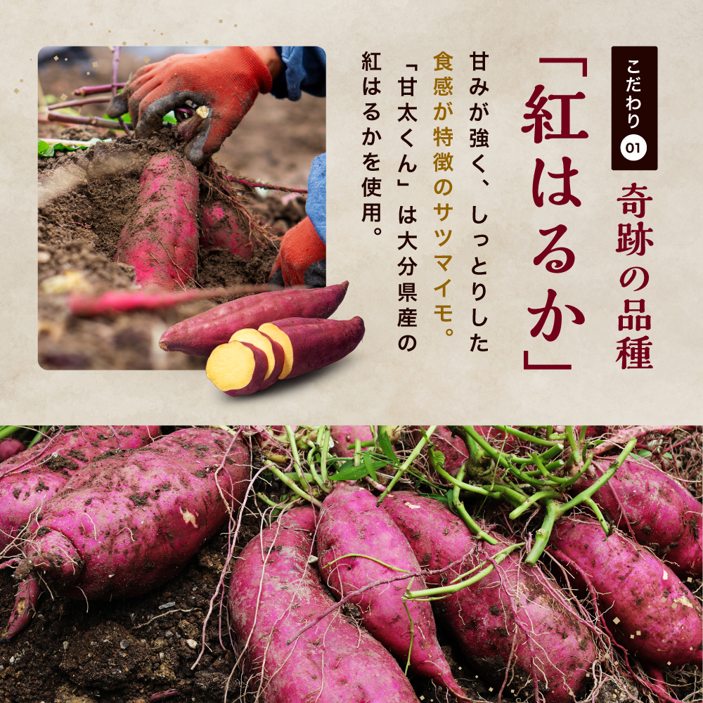 螟ァ蛻逵檎肇 縺九s縺励g 逕伜、ェ縺上s 邏 5kg M繝サL繝サ2L | 縺輔▽縺セ縺繧 縺輔▽縺セ闃 繧オ繝繝槭う繝「 闃 縺繧 邏縺ッ繧九° 縺ケ縺ォ縺ッ繧九° 辟シ縺崎葛 縺翫d縺、 繝悶Λ繝ウ繝 荵晏キ樒肇 蝗ス逕」 螟ァ蛻逵 荳ュ豢・蟶