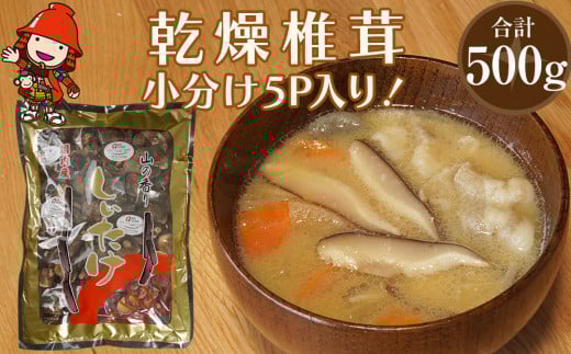 乾燥椎茸 訳あり 椎茸100g×5パック | 乾しいたけ 干し椎茸 干ししいたけ 乾燥しいたけ 干しシイタケ 原木 大分県産 九州産 中津市 国産 送料無料