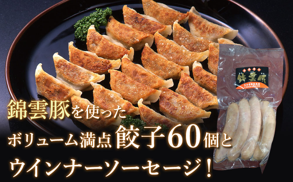 錦雲豚餃子とソーセージのセット レシピ付 餃子60個 ウインナー120g | お肉 肉 豚 豚肉 ブランド豚 錦雲豚 餃子 ギョウザ ソーセージ ウインナー セット 九州産 大分県産 国産 冷凍 送料無料 大分県 中津市