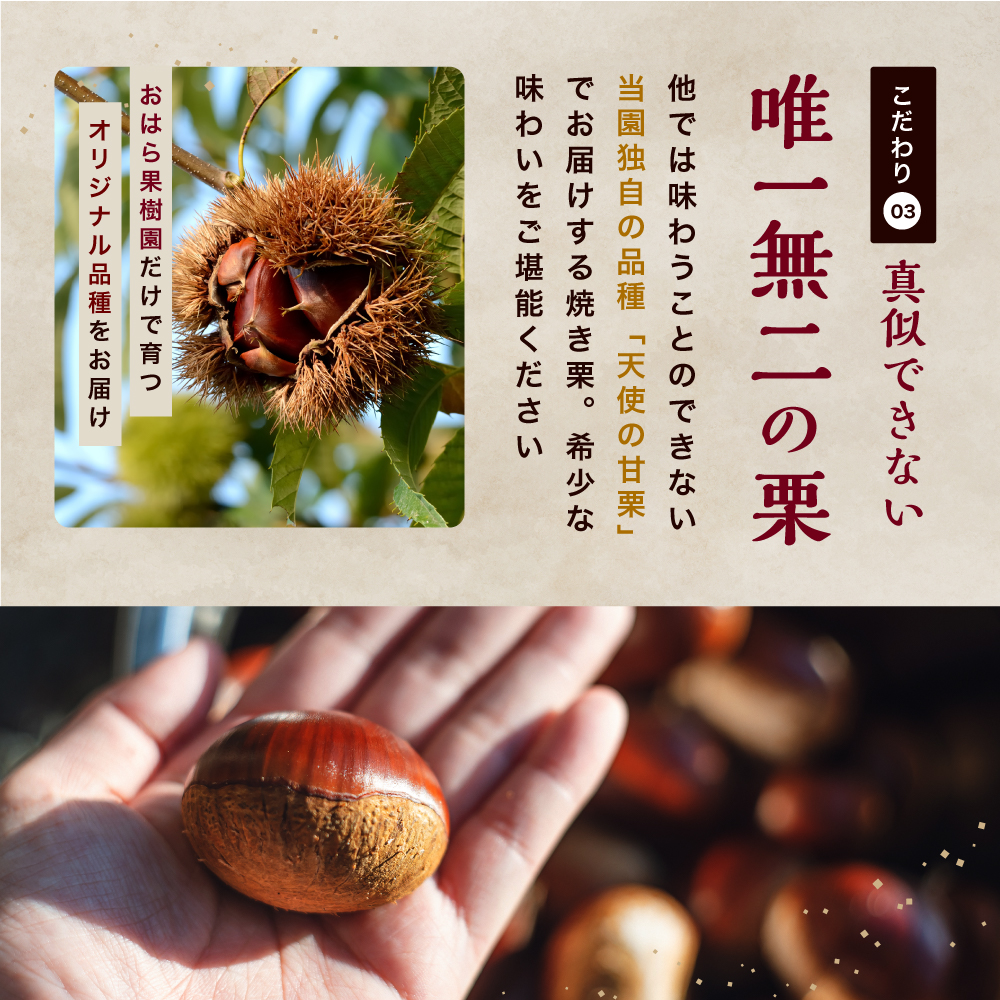 【JALふるさと納税限定価格】【先行予約】天使の甘栗 和栗焼き栗900g | 栗 甘栗 くり クリ 国産和栗 和栗 自然の甘み 無添加おやつ 焼き栗 やさしい甘さ 大分県 中津市