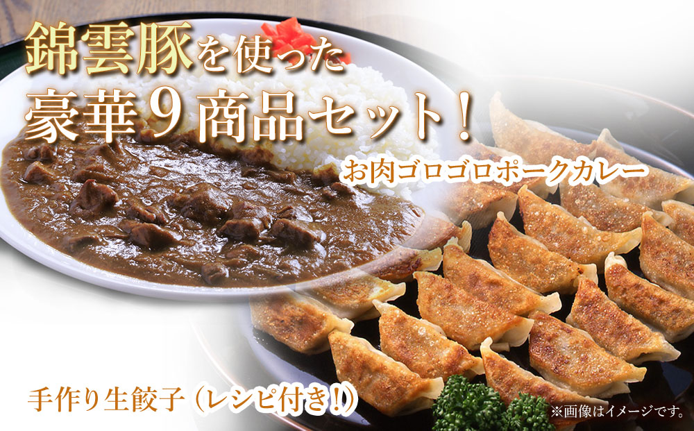 お米育ちの錦雲豚バラエティギフト ハム類・餃子・ハンバーグ・カレー セット | お肉 肉 豚肉 錦雲豚 ブランド豚 惣菜 九州産 大分県産 国産 冷凍 送料無料 大分県 中津市