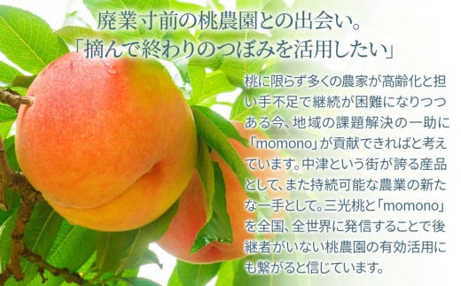 momono エッセンスボディーミルクMO 300g | ボディークリーム ボディー用乳液 保湿ケア 天然由来成分配合 桃のつぼみエキス配合 大分県 中津市 国産
