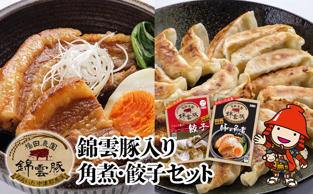 錦雲豚 角煮250g×2 餃子15個入り×2(たれ付き) | 冷凍食品 肉餃子 惣菜 冷凍おかず 冷凍餃子 豚の角煮 大分県産 九州産 中津市 国産 送料無料