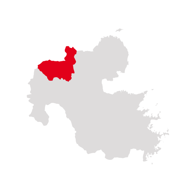 螟ァ蛻逵御クュ豢・蟶