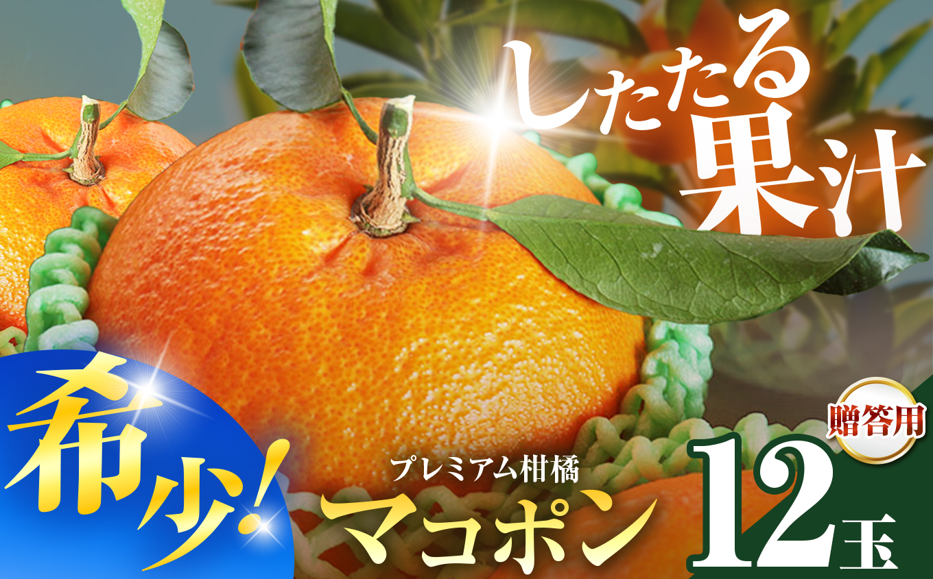 紅モンスター マコポン贈答用 12玉 | フルーツ 果物 くだもの 果実 柑橘 柑橘類 まこぽん マコポン オレンジ ゼリーオレンジ 不知火 国産 中津市産 産地直送 大分県 中津市