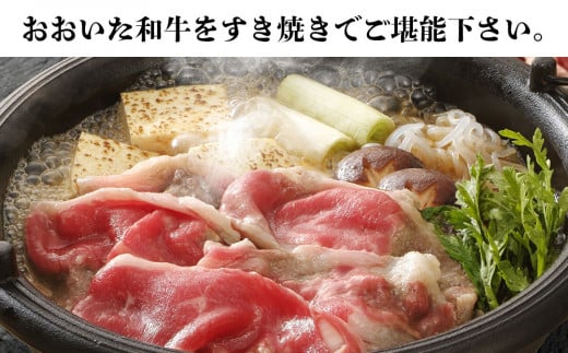 豊後牛おおいた和牛 すき焼き用 スライス肉 800g | 和牛 牛肉 すき焼き 大分県ブランド肉 大分県産 九州産 中津市 豊国畜産ぶんごや 国産 送料無料