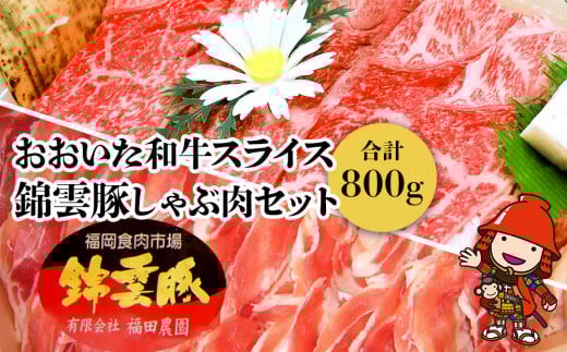 おおいた和牛 錦雲豚 しゃぶしゃぶ セット 合計800g 牛スライス肉(400g) 豚バラ肉(200g) 豚ロース肉(200g) セット ｜ 詰め合わせ おおいた和牛 黒毛和牛 冷凍 豚肉 九州産 国産 送料無料