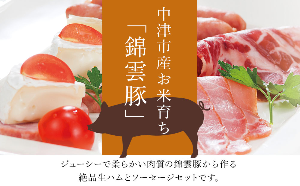 錦雲豚ソーセージ 絶品生ハム入り セット 5種類 合計875g | ハム 生ハム フランク ウインナー ソーセージ ボロニア 詰め合わせ お惣菜 惣菜 おかず おつまみ 国産 九州産 ブランド豚 豚 豚肉 さっぱりした脂身 冷蔵 送料無料 大分県 中津市