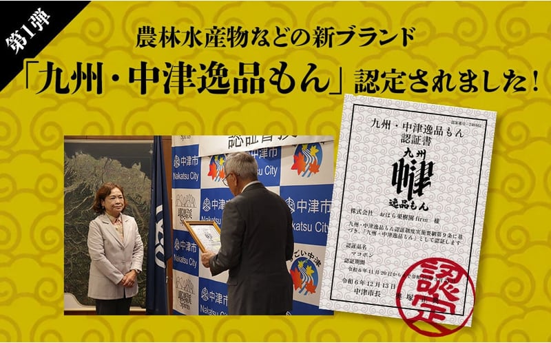 【JALふるさと納税限定価格】紅モンスター マコポン5玉 | フルーツ 果物 くだもの 果実 柑橘 柑橘類 まこぽん マコポン オレンジ ゼリーオレンジ 不知火 国産 中津市産 産地直送 大分県 中津市