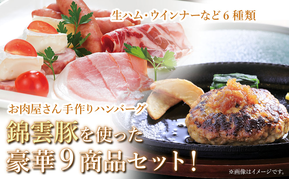 お米育ちの錦雲豚バラエティギフト ハム類・餃子・ハンバーグ・カレー セット | お肉 肉 豚肉 錦雲豚 ブランド豚 惣菜 九州産 大分県産 国産 冷凍 送料無料 大分県 中津市