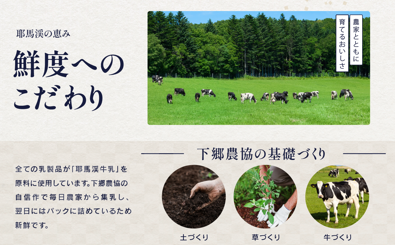 下郷農協の乳製品詰合せセット ( 飲むヨーグルト、プリン、カフェオレ ) | のむヨーグルト 飲むヨーグルト ヨーグルト プリン ぷりん カフェオレ 牛乳 生乳 乳製品 乳飲料 乳酸菌 デザート スイーツ セット 詰め合わせ 大分県 中津市