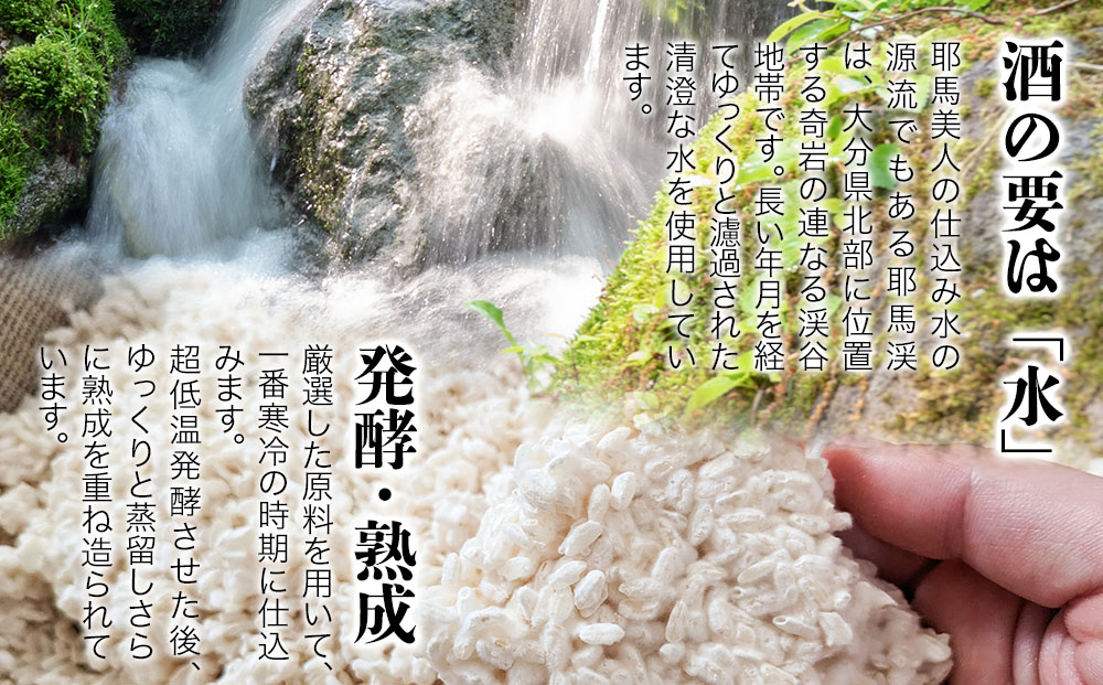 麦焼酎 耶馬美人 25度 720ml×10本 | 大分県中津市の地酒 焼酎 酒 アルコール 大分県産 九州産 中津市 国産 送料無料