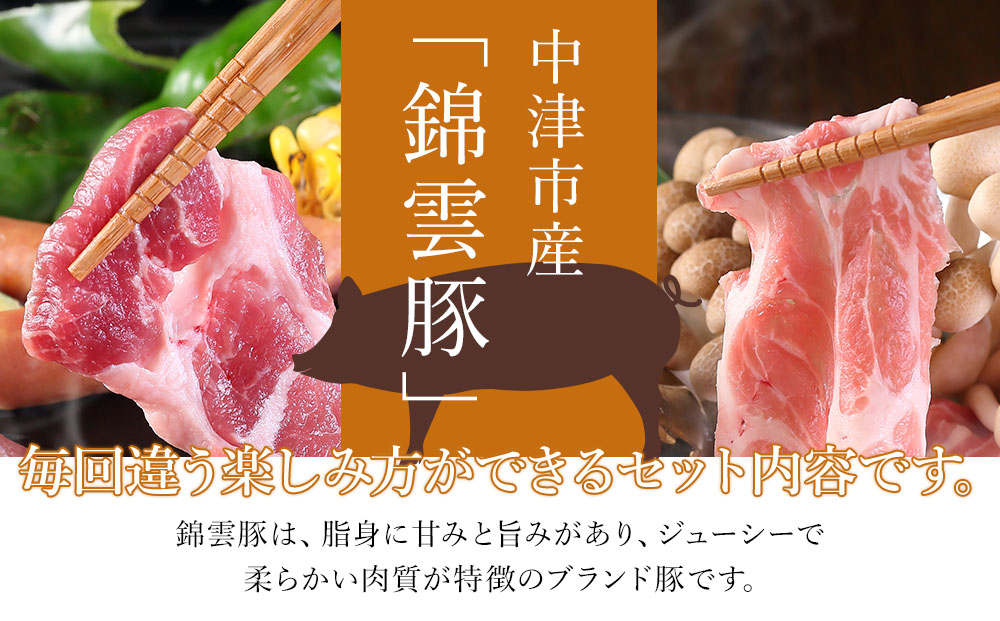 【定期便3回】高級 ブランド 錦雲豚 お米育ちの 錦雲豚 鍋 バラエティ セット 焼き肉 合計3.6kg | お肉 肉 おにく にく 豚 豚肉 ポーク ブランド豚 国産豚 しゃぶしゃぶ 生姜焼き 丼 バラ ロース モモ 詰め合わせ 国産 冷凍 大分県 中津市