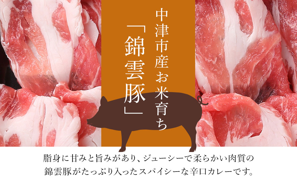 錦雲豚カレー辛口 たっぷり 5食 セット | レトルトカレー レトルト 惣菜 おかず 国産 九州産 大分県産 中津市 ブランド豚 豚肉 送料無料