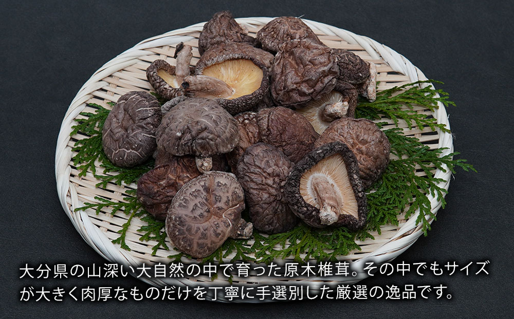 乾燥椎茸 国産 どんこ100g×5パック | 乾しいたけ 干し椎茸 原木椎茸 干し椎茸 干ししいたけ 乾しいたけ 大分県産 九州 産地直送 中津市 送料無料
