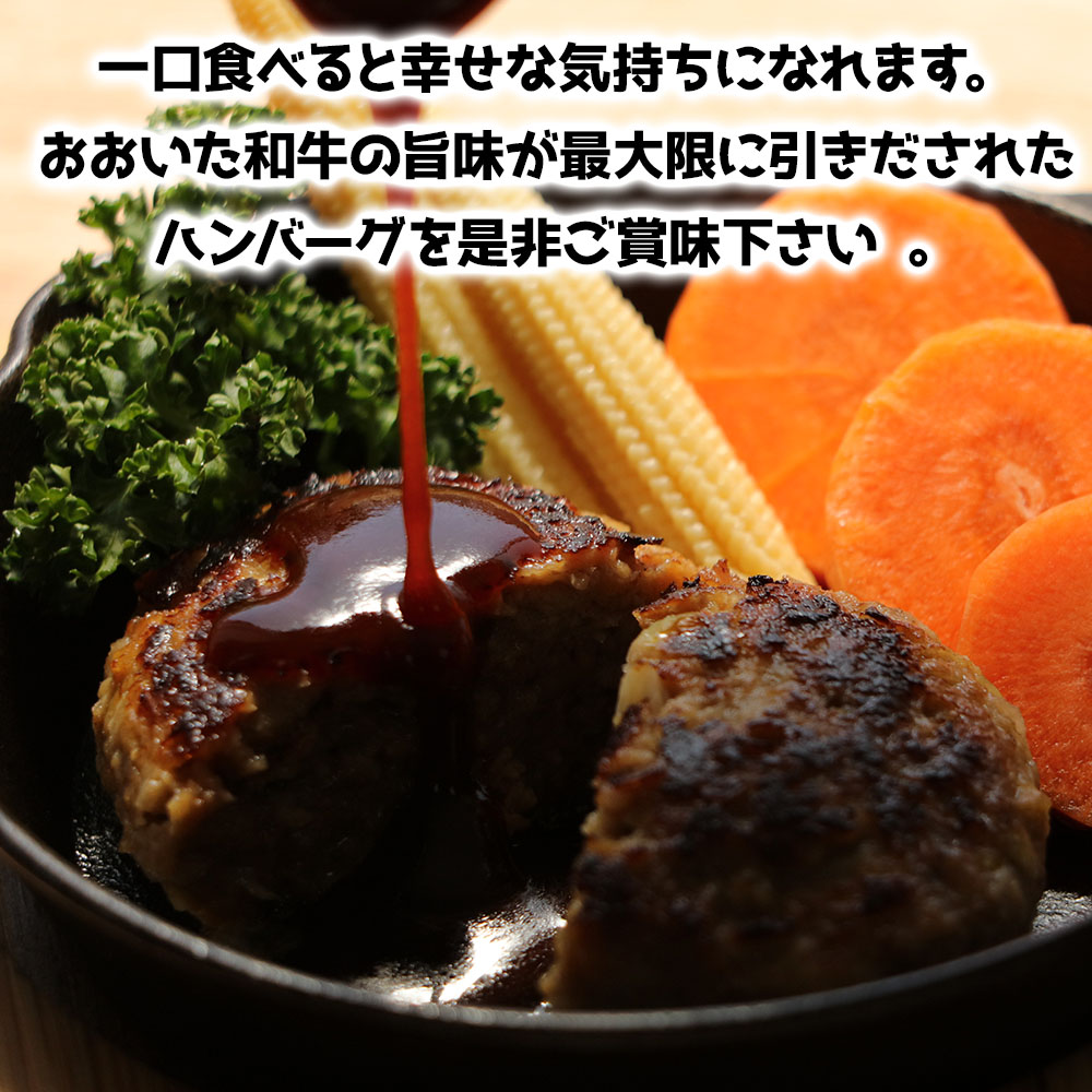 おおいた和牛ハンバーグ 130g×8個 | 牛肉 豊後牛 ハンバーグ おかず 惣菜 冷凍 大分県産 九州産 国産 豊国畜産ぶんごや 冷凍 送料無料